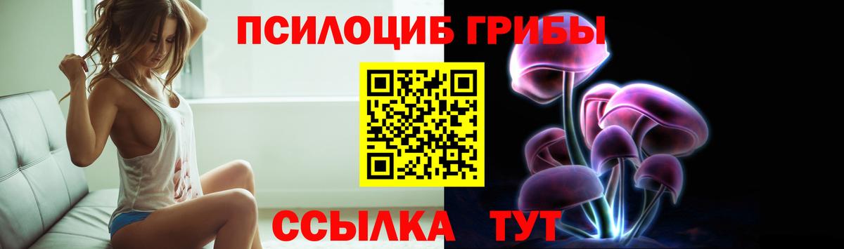 Галлюциногенные грибы Psilocybine cubensis  закладка  Верхняя Пышма  Вход с VPN 